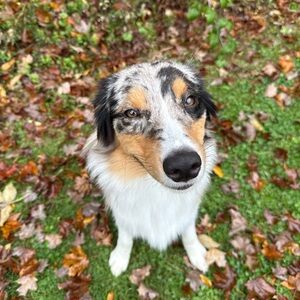 Meet your Posher, Shannon